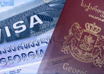 Kobakhidze questions economic benefits of visa-free travel
