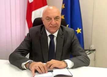 Maritime Transport Agency Head detained in connection with Tornike Rizhvadze case