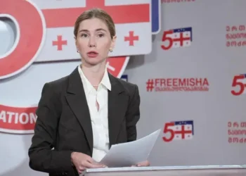 Tina Bokuchava: Rizhvadze’s case is a warning to all Georgian Dream members