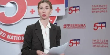 Tina Bokuchava: Rizhvadze’s case is a warning to all Georgian Dream members