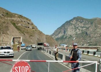 Georgia’s revenue service denies reports of customs disruptions