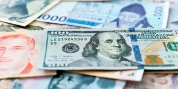Georgia raises foreign currency loan cap to GEL 750,000
