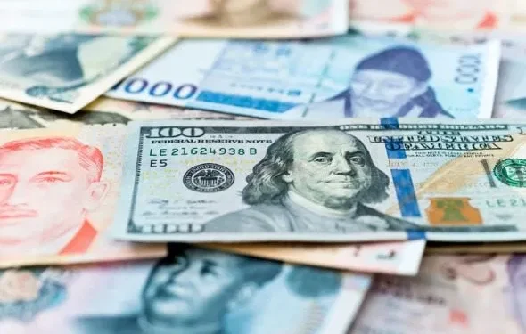 Georgia raises foreign currency loan cap to GEL 750,000