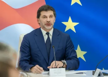 Kaladze: Georgia must grow economically to keep people from leaving