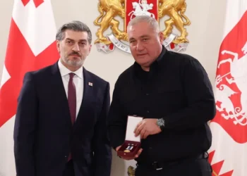 Deputy Director Mileri Lagazauri resigns from special tasks department