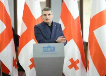 Mdinaradze: EU using visa threats to stir fear and pressure Georgians