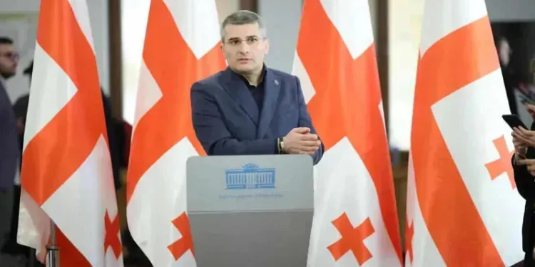 Mdinaradze: EU using visa threats to stir fear and pressure Georgians