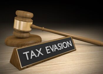 Four companies face charges for major tax evasion in Georgia