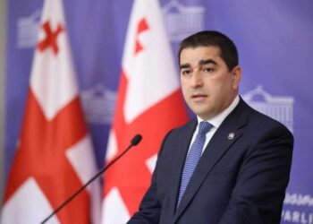 Papuashvili criticizes western diplomats, calls for end to “anti-Georgian rhetoric”