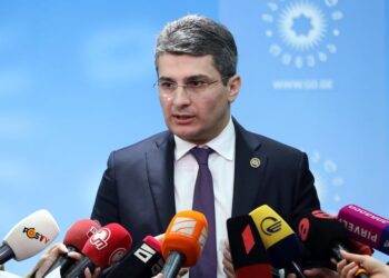 Mdinaradze on OSCE/ODIHR mission: We may invite them, or we may not