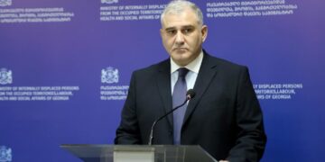 Reform of Georgia’s substitution treatment system marks successful stage