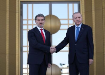 Georgia and Turkey strengthen strategic partnership in presidential meeting