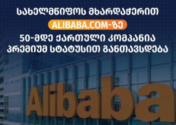 Georgian companies to join Alibaba with government support
