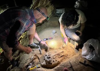 Jawbone discovery in Orozmani may belong to early Homo Erectus