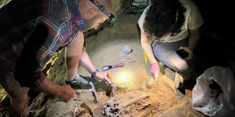 Jawbone discovery in Orozmani may belong to early Homo Erectus