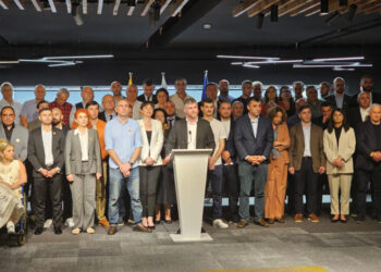 Lelo – Strong Georgia coalition members. Source: frontnews