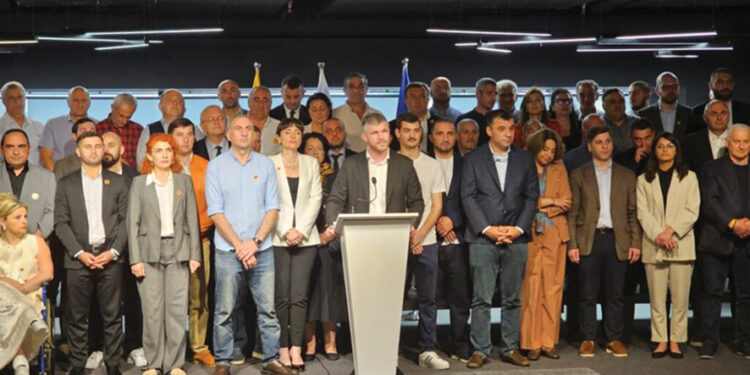 Lelo – Strong Georgia coalition members. Source: frontnews