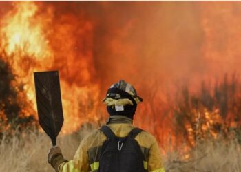 Georgian Embassy in Spain urges citizens to follow fire safety rules amid wildfires