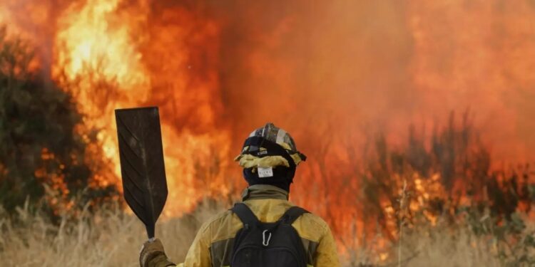 Georgian Embassy in Spain urges citizens to follow fire safety rules amid wildfires