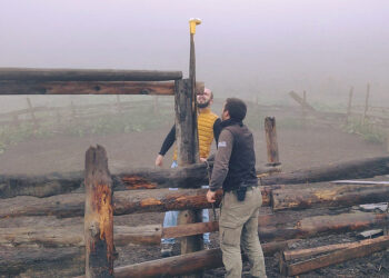 Electric fences, foxlights and solar power. Source: UNDP
