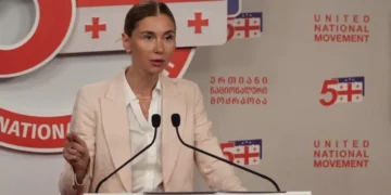 Bokuchava: We are working to protect Georgians from visa-free suspension