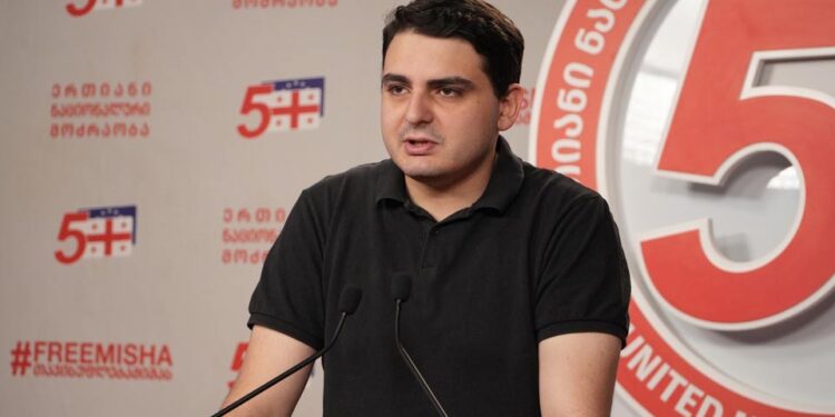 UNM’s Sanikidze: October 4 rally to mark “return to European integration”