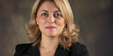 DGN Consulting: Redefining Professional Services in Georgia