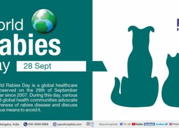 Georgia to hold nationwide free rabies vaccination for pets on September 26