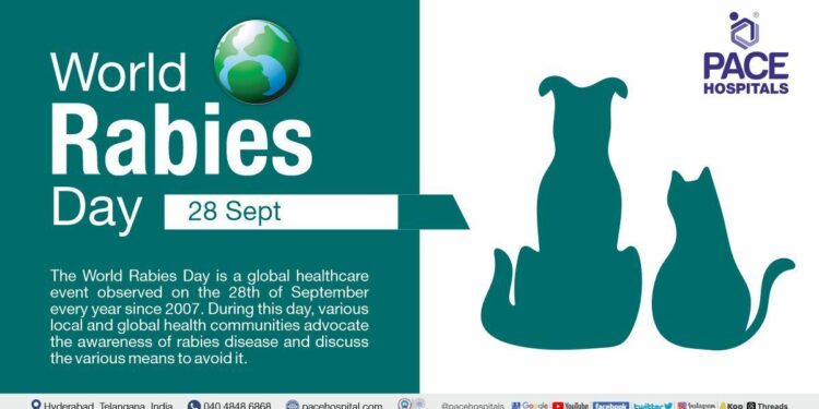 Georgia to hold nationwide free rabies vaccination for pets on September 26
