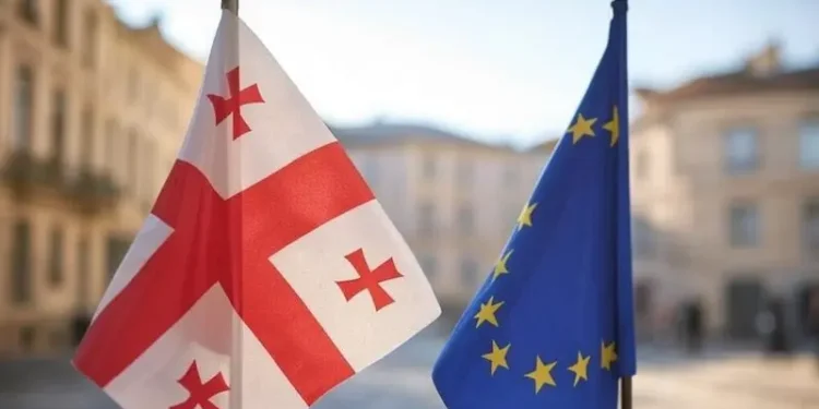 EU delegation warns of human rights concerns in Georgia