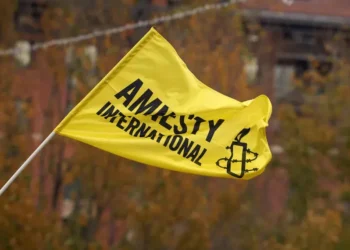 Amnesty International: Georgian authorities using justice system to silence dissent