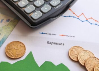 Georgia maintains budget plan despite economic growth