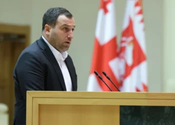 Irakli Kirtskhalia appointed Chairman of Georgian Dream Faction
