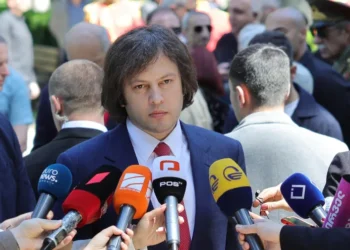 Kobakhidze accuses EU, UK and German ambassadors of overstepping diplomatic boundaries