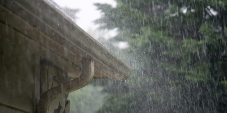 Heavy rain and storms expected in Georgia