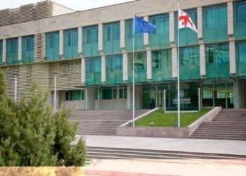 Director of Guria Energy and supervisor arrested for misappropriating 403,095 GEL of state funds