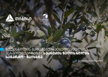 თიბისი კონცეპტის მრავალფეროვანი შეთავაზებები სპა ცენტრებში