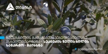 თიბისი კონცეპტის მრავალფეროვანი შეთავაზებები სპა ცენტრებში