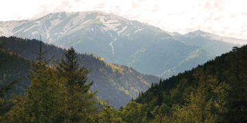 Georgia’s First Mental Health Festival Brings Healing, Connection, and Cultural Change to the Mountains of Sairme