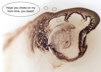 Photo and caption by the author