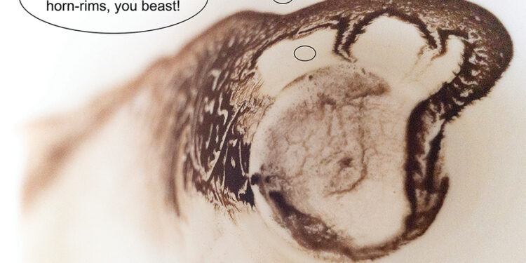 Photo and caption by the author