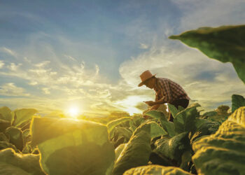 A farmer. Source: oecd