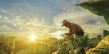 A farmer. Source: oecd
