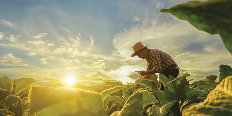 A farmer. Source: oecd
