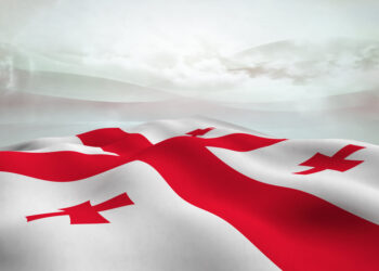 Georgian Foreign Policy: More Realism, More Efficiency, More Effectiveness