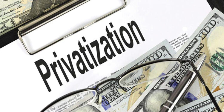 Privatization. Source thebluediamondgallery