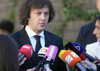 Kobakhidze cancels meeting with OSCE chair over participation in protest