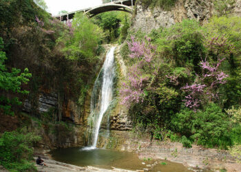 Tbilisi Botanical Garden to host annual flower exhibition on November 1–2
