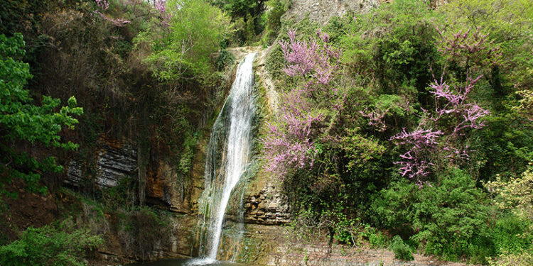 Tbilisi Botanical Garden to host annual flower exhibition on November 1–2