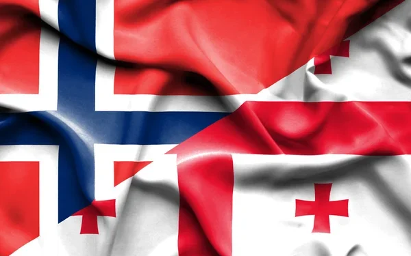 Norway condemns violence, repressive laws amid Georgia’s local elections